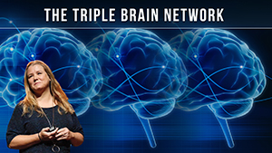 The Triple Brain Network
