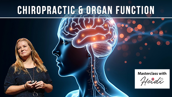 chiropractic-organ-function-thumbnail