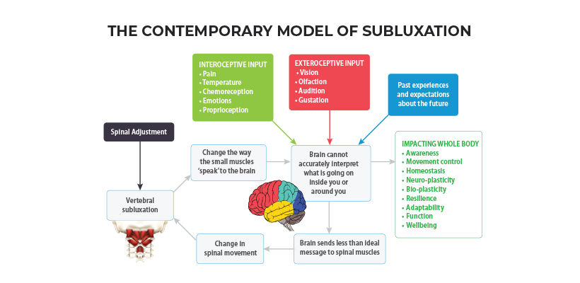 Contemporary Model