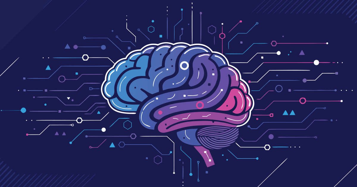 Default Mode Network